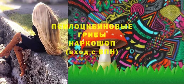 дурь Надым